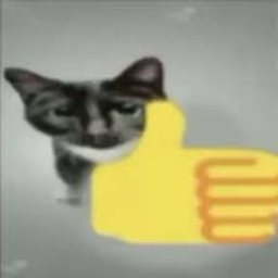 CATHUMBSUP