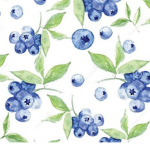 Blueberry Squad :3