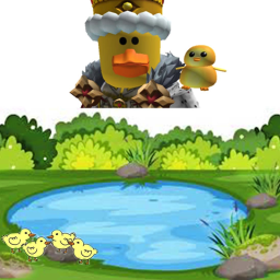 The Pond