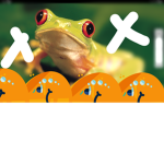 Lovely frogs <3