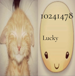 llucky