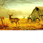 The Rancher’s