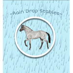 ~Rain Drop Stable~