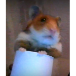 lia's bank
