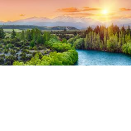 The Joy Of Nature