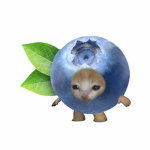 | Blueberry Cats |