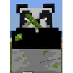 .pandas