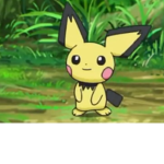 The Poké Poké People