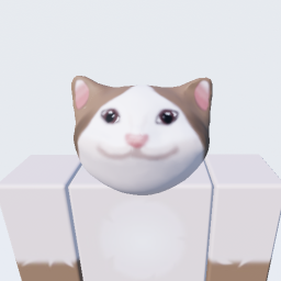 Popcat Life