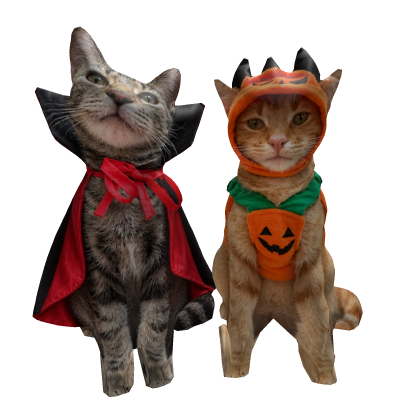 Halloween Cats Dracula and Pumpkin
