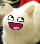 KingCats!