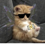 S4NTO$