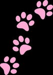 blackpawz