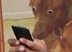 TheTrueWaterConsumer's Content
