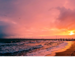 Jake's Vibe