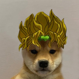 Doge's Bizarre Adventure