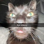 Gamer Gang.