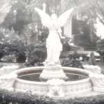 Kirby’s • Garden