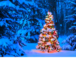 christmas is here!!!