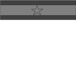 Mobile Assault Force