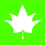 OmegaFlowey Studio