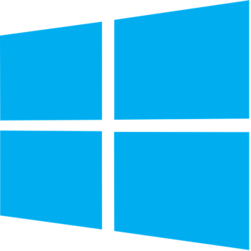 the computer game
