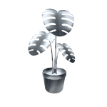 Silver Monstera House Plant