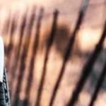 ── ⋆⋅☆⋅⋆ ──