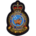 AA| Air Combat Group