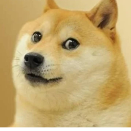 doge game
