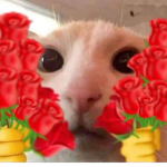 cherrydecorazon