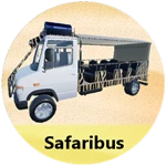 Safaribus