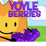 Yoyleberries