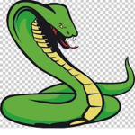 Green Snake Cartel
