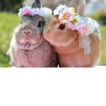 ~~BUNNIES~~