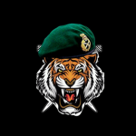 T.I.G.E.R's 57th Paratroop Division