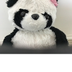 Cute animals world
