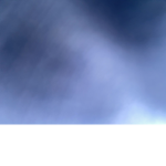 Wily Roblox