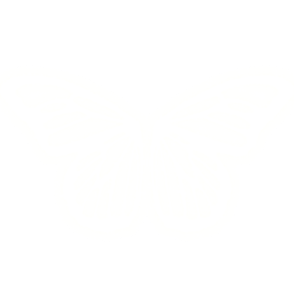 Glowing Butterfly Wings