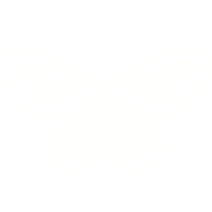 Glowing Butterfly Wings