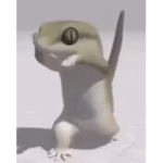 Ratatouille fish