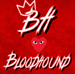 BH | BloodHound #762