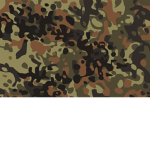 21st Foreign Legion