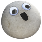 Club of pet rocks