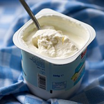 Yogurt Colony