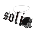 soli necklace 3.0