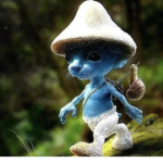 Cat Smurf group