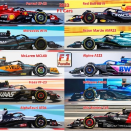 F1 The game