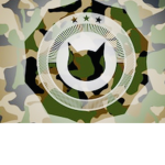 The military cats