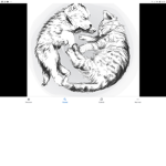 Pups and kittys family